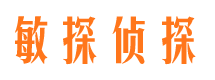 新干市私家侦探